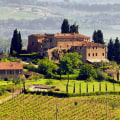 The Top Wineries in the World: A Wine Expert's Perspective