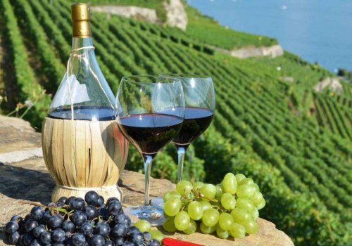 The World's Most Delicious Wines: A Wine Expert's Perspective